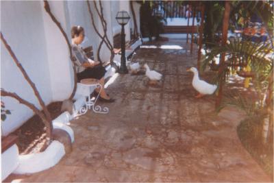 &iquest;Sabes perdonar?